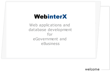Web applications and database development for eGovernment and eBusiness